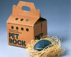 Product shot of Pet Rock, fad from mid-1