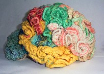 The_Knitted_Brain