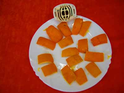 orange peels for mosquitoes