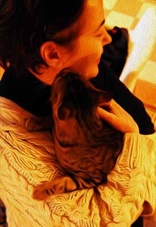 Volver the Cat