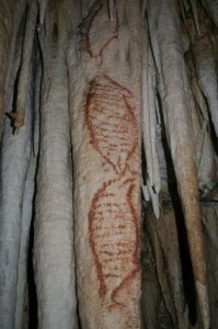 Cueva-de-Nerja_Seals