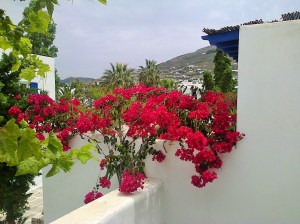 spring, paros