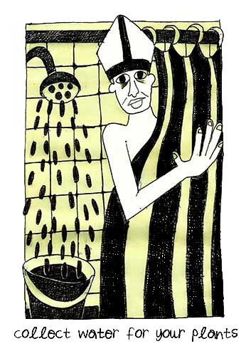 Collect Water for Your Plants