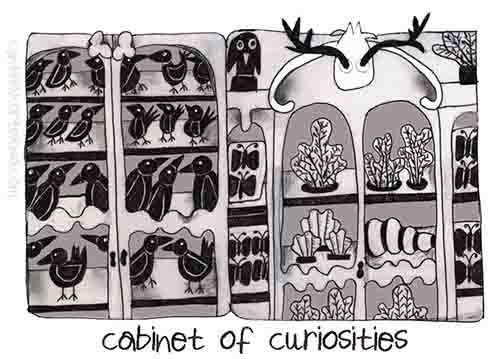 Cabinet of Curiosities