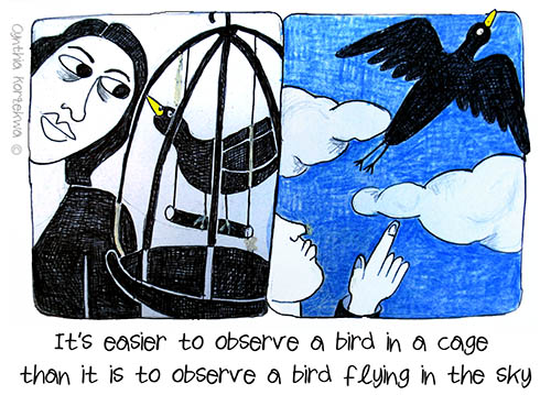 Bird in a Cage, Bird in the Sky