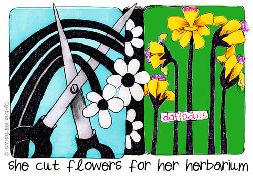 she cut flowers for her herbarium