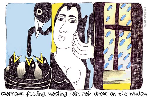 sparrows feeding, washing hair, rain drops on the window