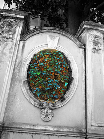 Framed Ivy with Lions