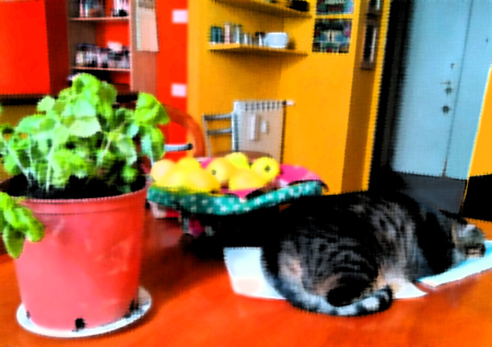 Basil, Apples, and Volver