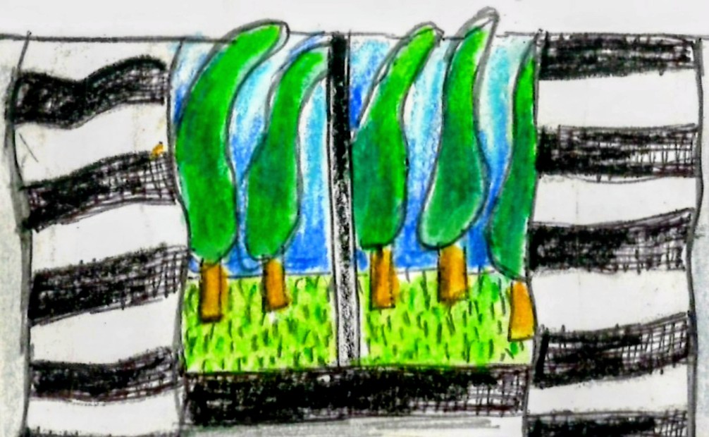 drawing of trees outside a window
