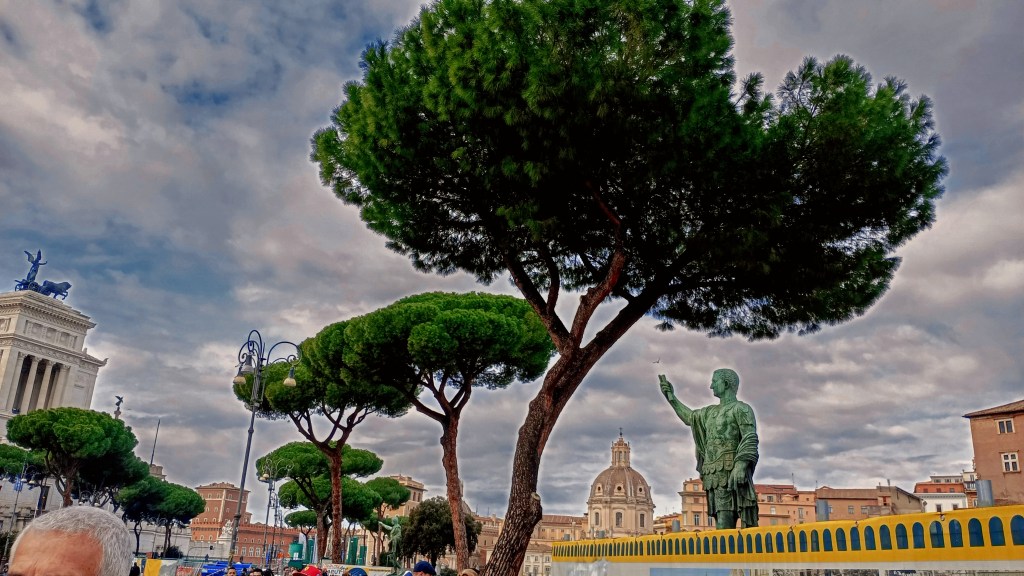 the statue of Nerva under parasol pines