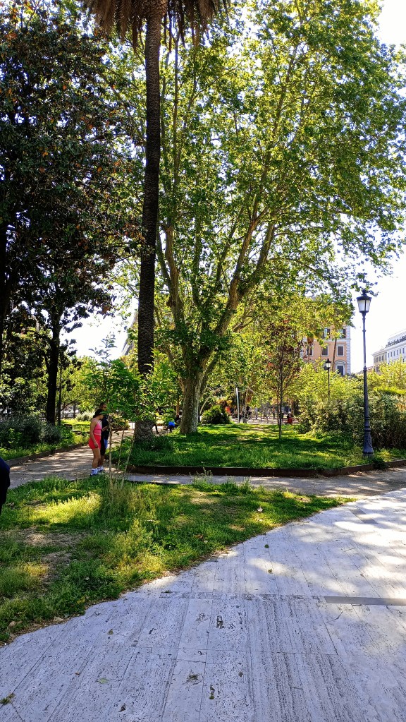 photo of Piazza Vittorio, inside the garden with trees