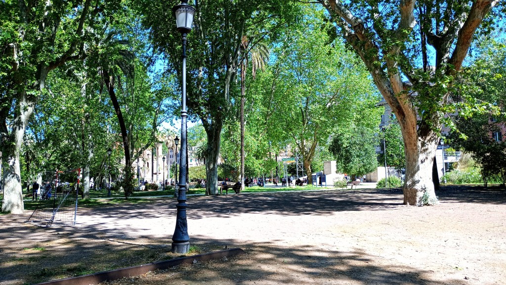 photo of Piazza Vittorio, trees and ground