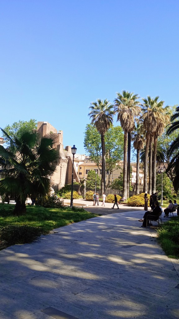 photo of Piazza Vittorio, palm trees, sidewalk, people