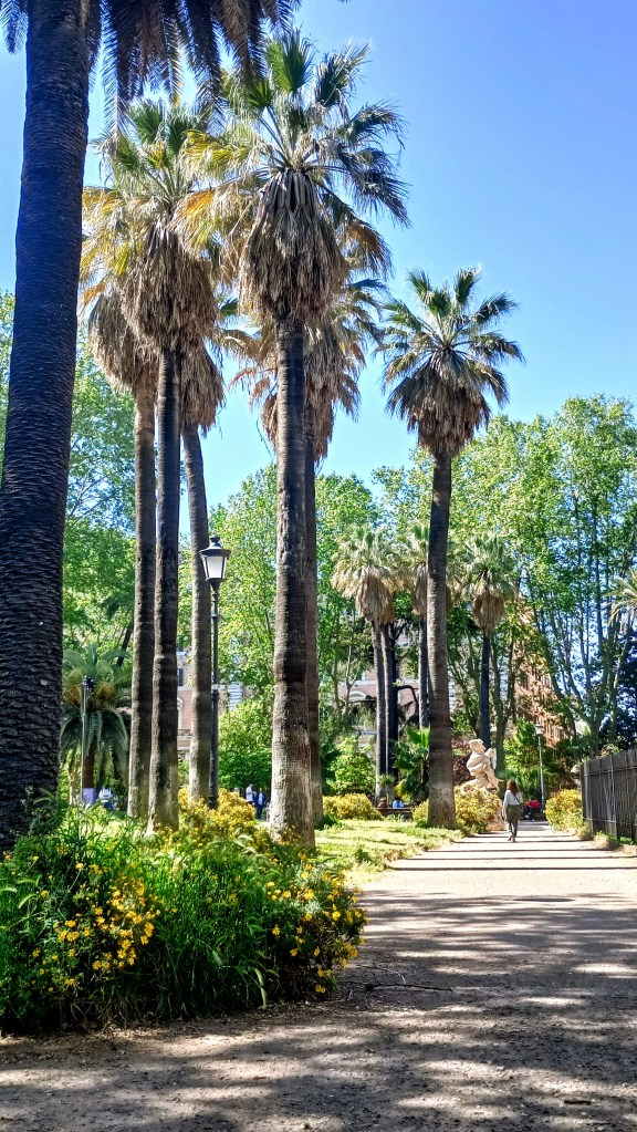 photo of Piazza Vittorio, palm trees and walkway